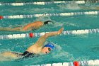 Swimming vs Bentley  Wheaton College Swimming & Diving vs Bentley College. - Photo by Keith Nordstrom : Wheaton, Swimming & Diving